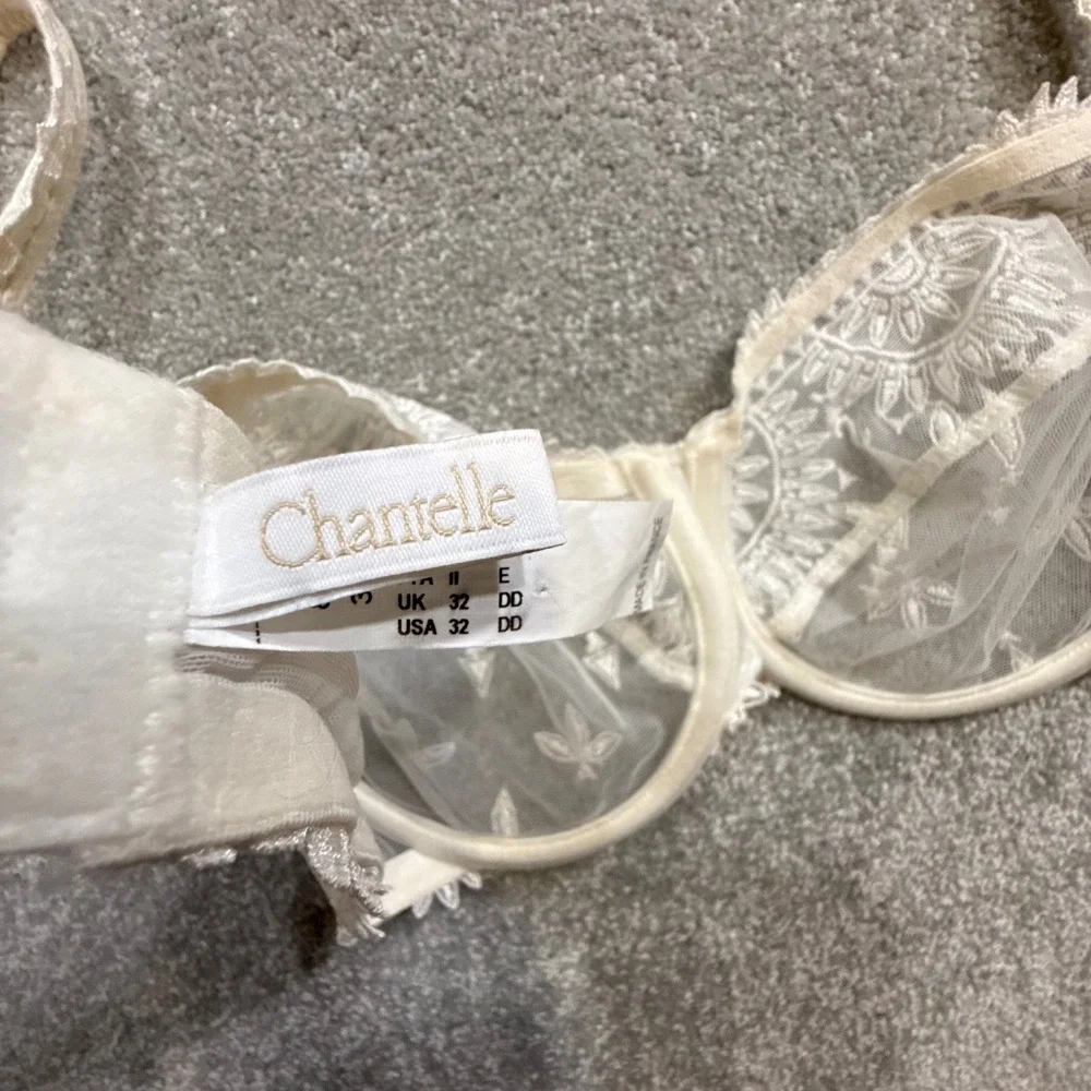 Vintage Y2K Chantelle Paris Lace Embroidered Sheer Mesh Bra‎ 32DD Made in France
